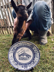 NIJE KUCA NA PRODAJU - Plate